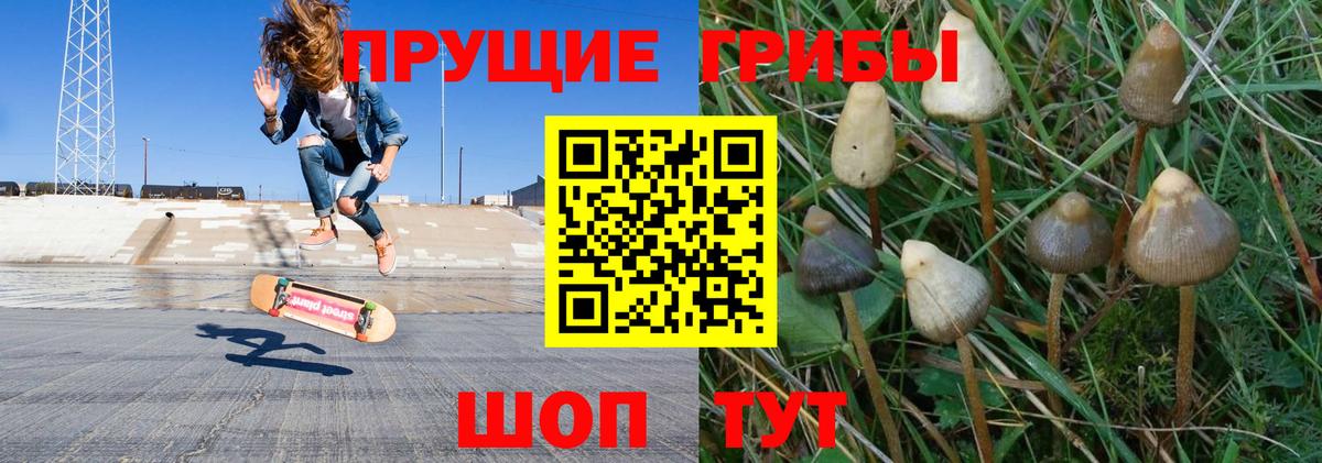 Феодосия  Псилоцибиновые грибы прущие грибы  Вход с VPN 